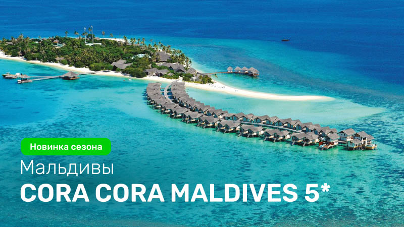 Maldives Cora